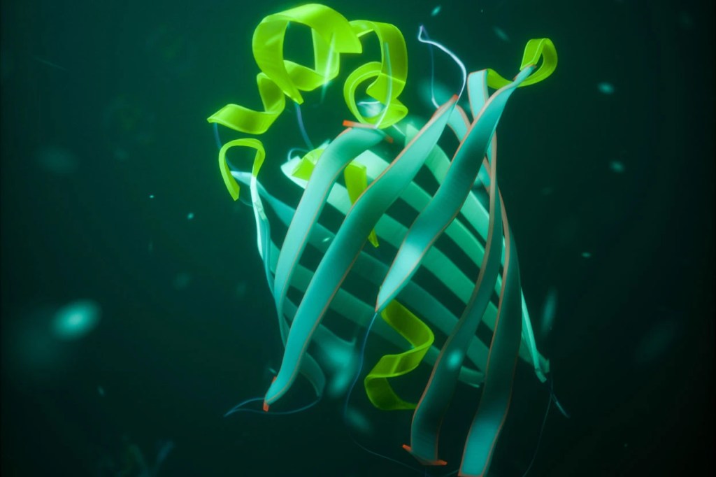 An illustration of green fluorescent protein with its characteristic β-barrel. Credit: Sci-Comm Studios/Science Photo Library