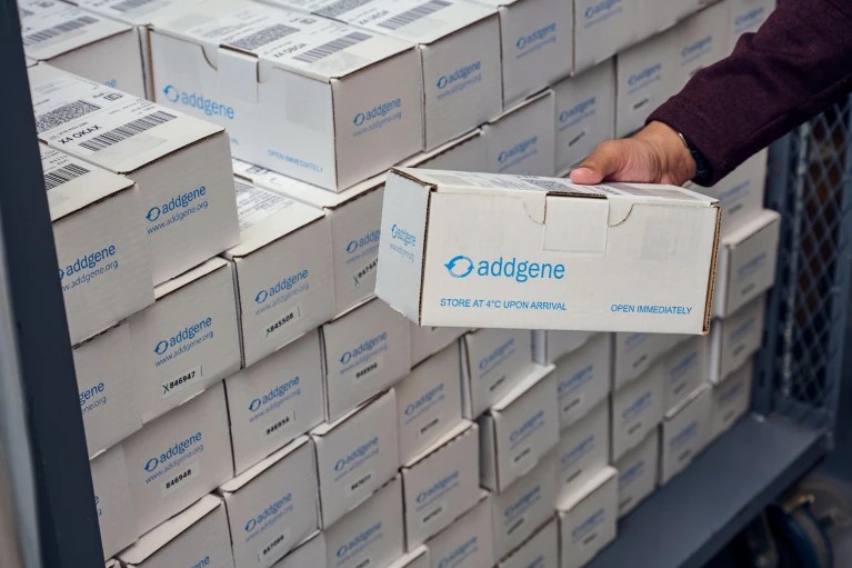 A photo of a stack of medium sized white cardboard boxes labeled "Addgene". A person is holding one up to the camera.